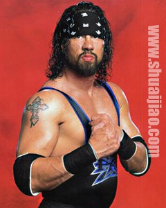 Sean Waltman(导演)