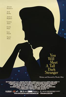 遭遇陌生人 You Will Meet A Tall Dark Stranger(2010)