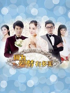 因为爱情有多美(2013)