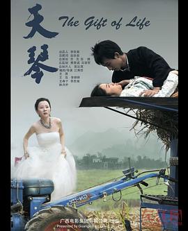 天琴(2014)