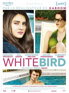 暴风雪中的白鸟 White Bird in a Blizzard(2014)