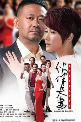 伙伴夫妻(2015)