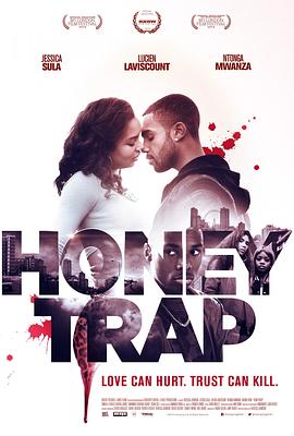 伦敦美人计 Honey Trap(2014)