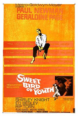 春浓满楼情痴狂 Sweet Bird of Youth(1962)