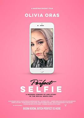 完美自拍 The Perfect Selfie(2017)