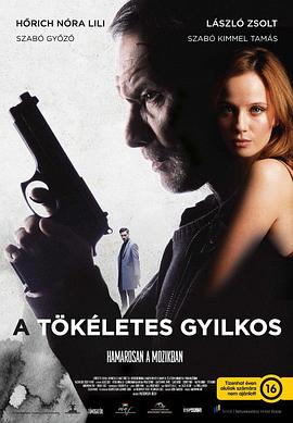 正义狙击 A tökéletes gyilkos(2017)