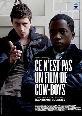 并非一部牛仔电影 Ce n'est pas un film de cow-boys(2012)