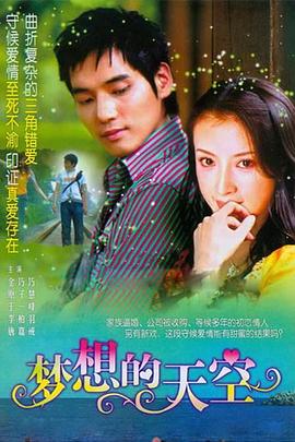 梦想的天空(2008)