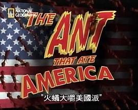 火蚁大嚼美国派 The Ant that Ate America(2001)