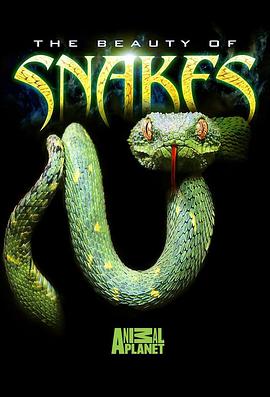 蛇之惊艳奇观 THE BEAUTY OF SNAKES(2003)