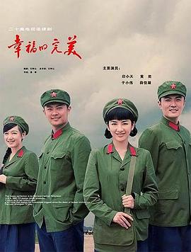 幸福的完美(2009)