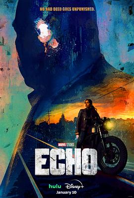 回声 Echo(2024)