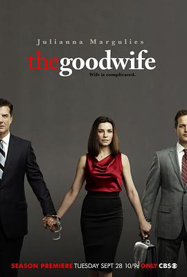 傲骨贤妻  第二季 The Good Wife Season 2(2010)