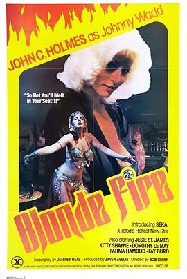 金发美女 Blonde Fire(1978)