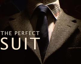 完美的西装 The Perfect Suit(2011)