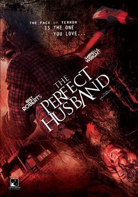 完美丈夫 The Perfect Husband(2014)