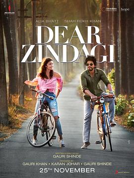 美好的人生 Dear Zindagi(2016)