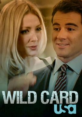 完美搭档 Wild Card(2011)