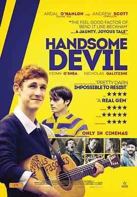 帅气的恶魔 Handsome Devil(2016)