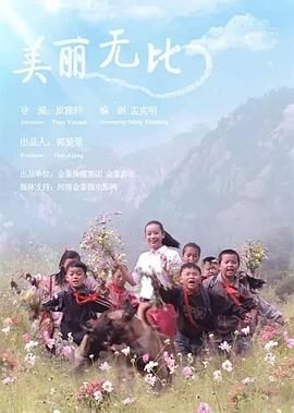 美丽无比(2017)