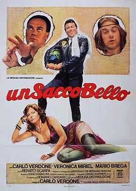 美丽而有趣的事 Un sacco bello(1980)