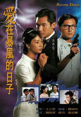 爱在暴风的日子 愛在暴風的日子(1995)