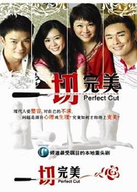 一切完美 一切完美/perfect cut(2008)