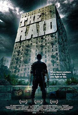 突袭 The Raid(2026)