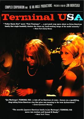 美国终点站 Terminal USA(1993)