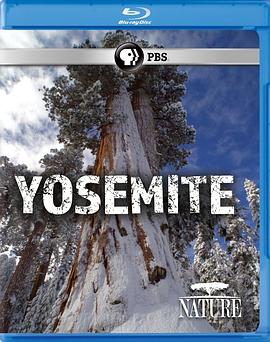 自然：约塞米蒂国家公园 Nature: Yosemite(2017)