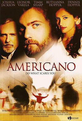 美丽的邂逅 Americano(2006)