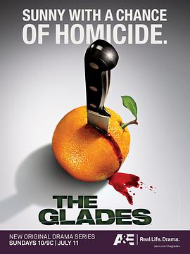 血迷棕榈 第一季 The Glades Season 1(2010)