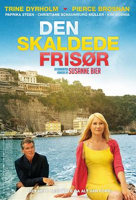 你需要的就是爱 Den Skaldede Frisør(2012)