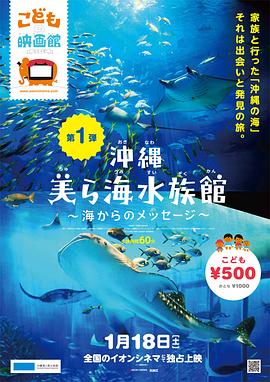 冲绳美之海水族馆 沖縄美ら海水族館 海からのメッセージ(2014)