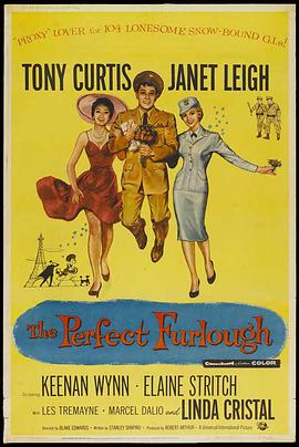 完美的假期 The Perfect Furlough(1958)