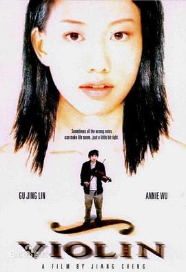 卡车上掉下的小提琴(2003)