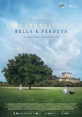 遗失与美好 Bella e perduta(2015)