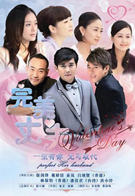 完美丈夫(2011)