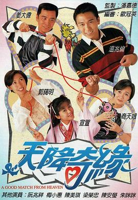 天降奇缘 天降奇緣(1995)