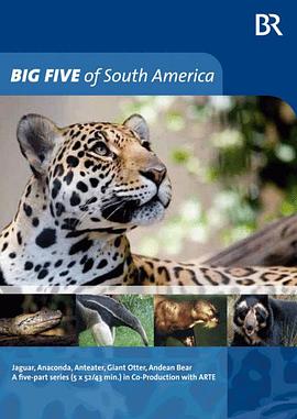 南美五猛兽 Big Five Südamerika(2012)