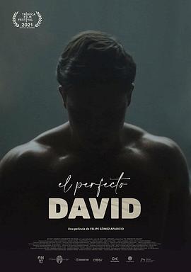 完美戴维 El Perfecto David(2021)