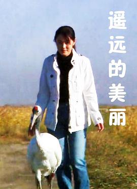 遥远的美丽(2008)