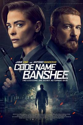 报丧女妖 Code Name Banshee(2022)