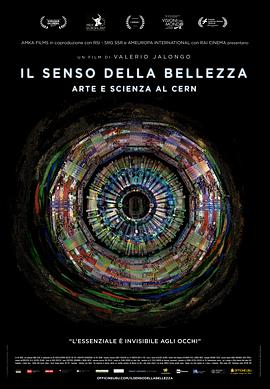 美的含义 Il senso della bellezza(2017)