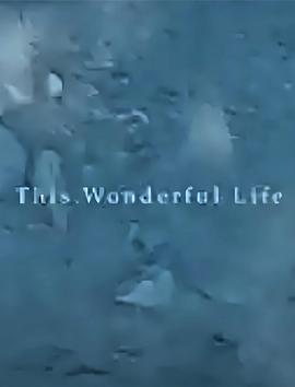 美好生活 This Wonderful Life(2003)